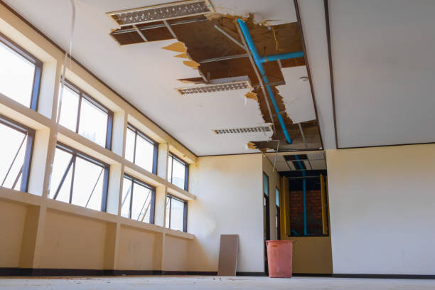 Best Fire Damage Restoration  in Kingman, AZ