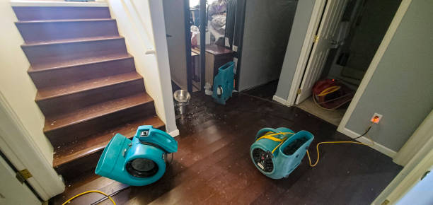 Best Water damage cleanup near me  in Kingman, AZ