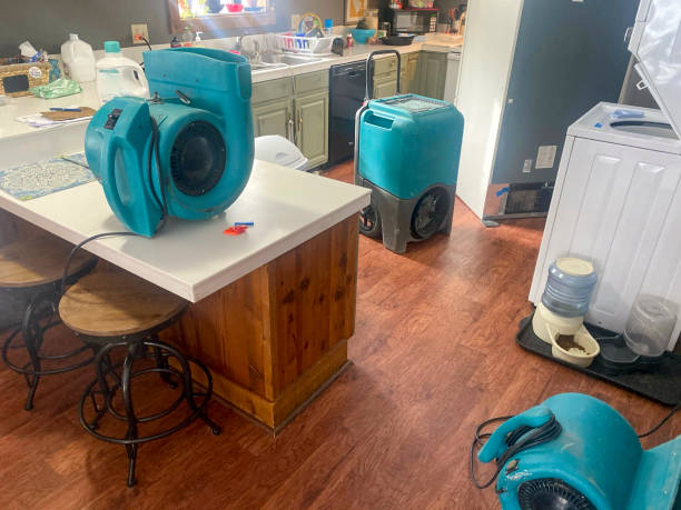 Best Water damage restoration experts  in Kingman, AZ