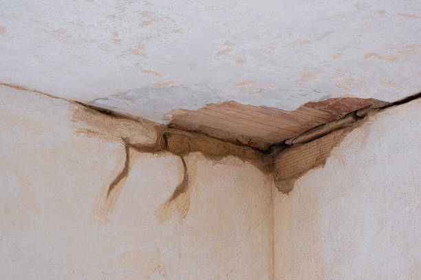  Kingman, AZ Water damage restoration Pros