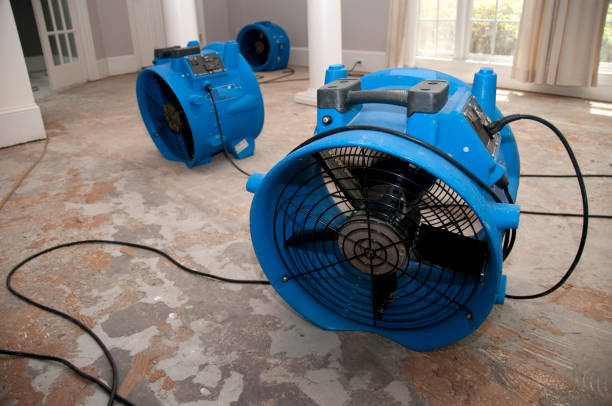 Best Water damage restoration near me  in Kingman, AZ