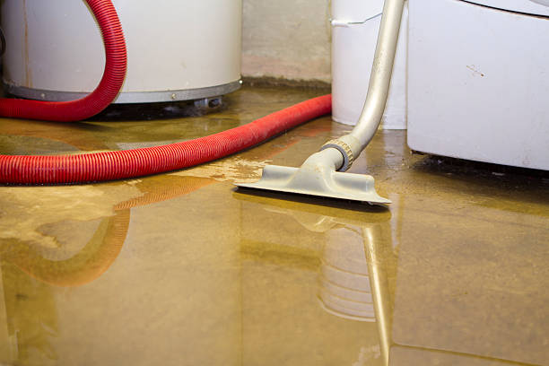 Best Basement water damage restoration  in Kingman, AZ