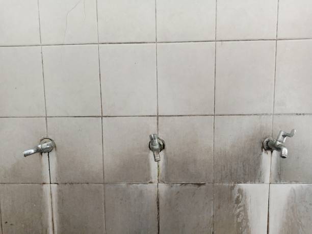 Best Mold removal after water damage  in Kingman, AZ