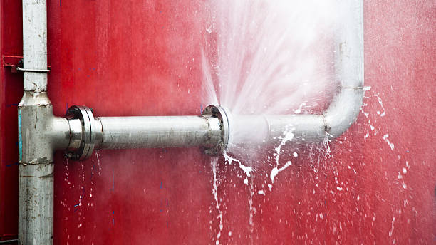 Best Professional water damage repair  in Kingman, AZ