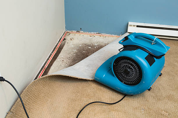 Kingman, AZ Water damage restoration Company